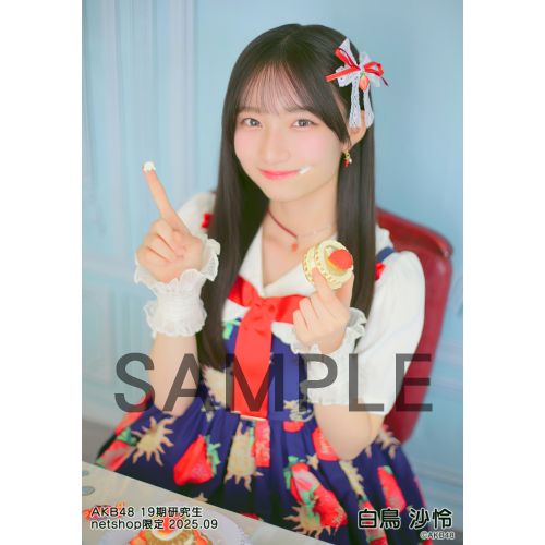 AKB48 生写真 セット 集合 ペア 店舗特典 会場特典等 約300枚 Amazon.co.jp: AKB48 公式生写真 GIVE ME FIVE ! 店舗特典 多売