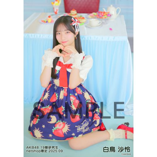 予約商品】AKB48 19期研究生 2025年9月度 net shop限定個別生