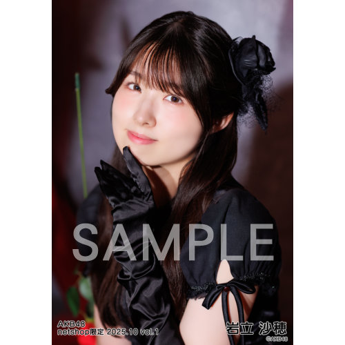 AKB48 岩立沙穂 トレ netshop 生写真 48枚 2016～17年 AKB48 岩立沙穂 トレ netshop 生写真 48枚 2016～17年 AKB48