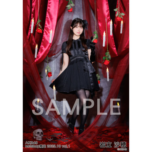 AKB48 岩立沙穂 トレ netshop 生写真 36枚 2014年 AKB48 岩立沙穂 トレ netshop 生写真 36枚 2014年 AKB48 岩立