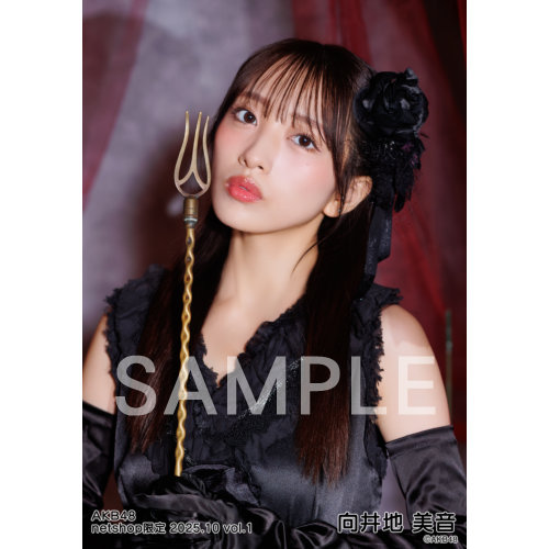 向井地美音　AKB48 2025年4月netshop限定　生写真+カード　コンプ AK-003-2509-89071_p02_500.jpg