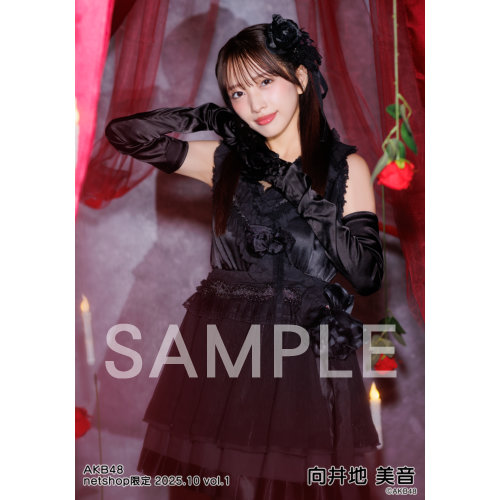 向井地美音 個別生写真 AKB48 向井地美音 個別生写真 2022. 11 - メルカリ