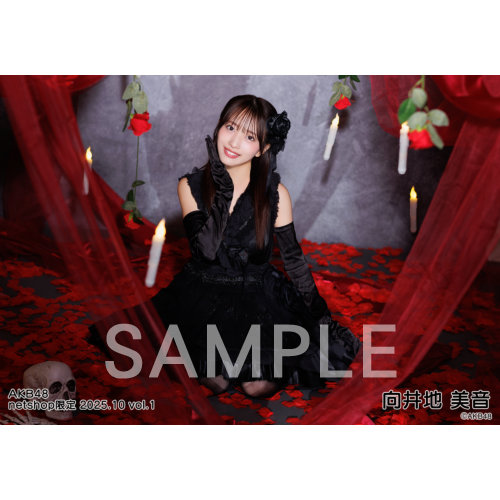 予約商品】AKB48 2025年10月度 net shop限定個別生写真5枚セット