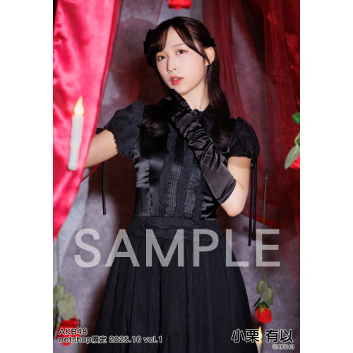 予約商品】AKB48 2025年10月度 net shop限定個別生写真5枚セット