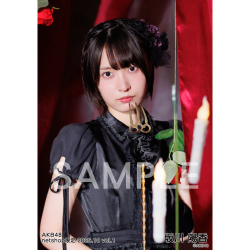 予約商品】AKB48 2025年10月度 net shop限定個別生写真5枚セットvol.1