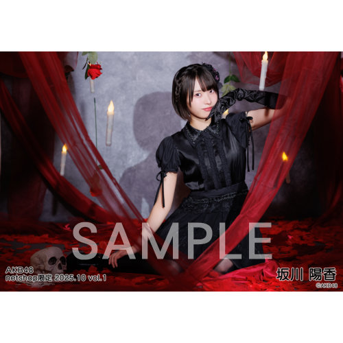 【限定値下げ】AKB48春コン specialくじ サイン入りTシャツ 坂川陽香 予約商品】AKB48 2025年10月度 net shop限定個別生写真5枚セットvol.1