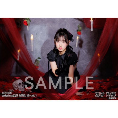 AKB48 未開封CD DVD カレンダーセット AKB48 未開封CD DVD カレンダーセット AKB48 未開封CD DVD