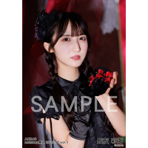 予約商品】AKB48 2025年10月度 net shop限定個別生写真5枚セットvol.1