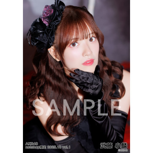 詳細検索 | AKB48 Official Shop