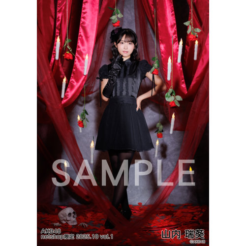 AKB48グループ トレーディング大会 10月 生写真 AKB48グループ