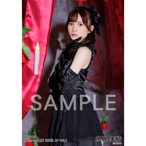 予約商品】AKB48 2025年10月度 net shop限定個別生写真5枚セット
