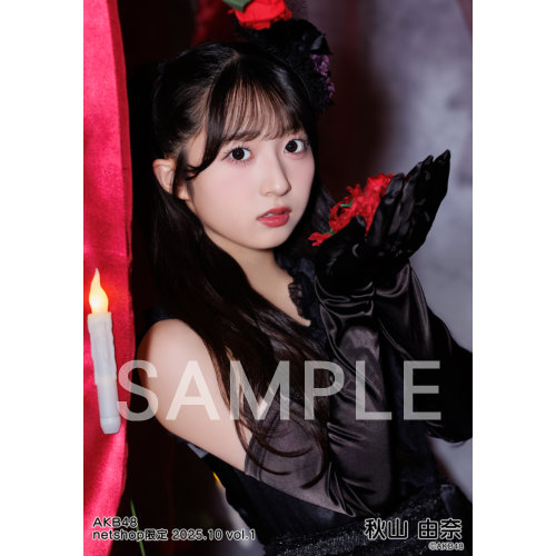 ＡＫＢ４８スリーブコレクション 未使用品 予約商品】AKB48 2025年10月度 net shop限定個別生写真5枚セット