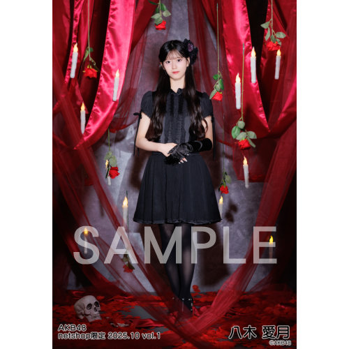 予約商品】AKB48 2025年10月度 net shop限定個別生写真5枚セットvol.1