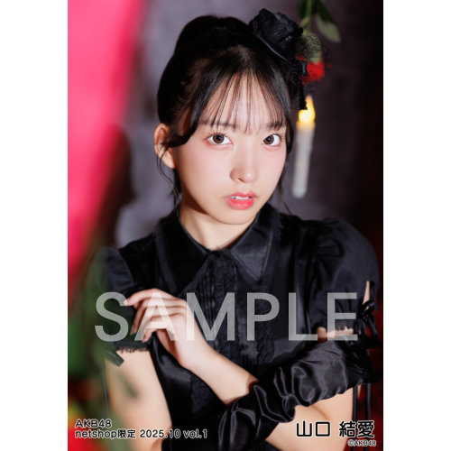 AKB DVD 封入　生写真 予約商品】AKB48 2024年10月度 net shop限定個別生写真5枚セット