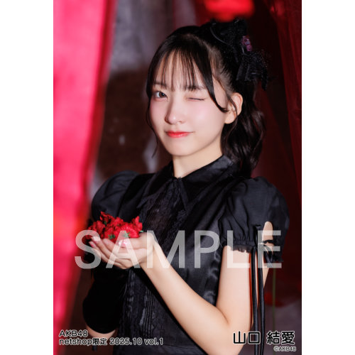 予約商品】AKB48 2025年10月度 net shop限定個別生写真5枚セットvol.1