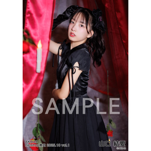 予約商品】AKB48 2025年10月度 net shop限定個別生写真5枚セットvol.1