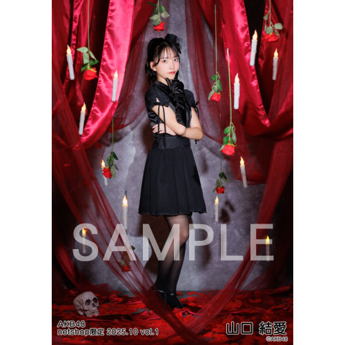 予約商品】AKB48 2025年10月度 net shop限定個別生写真5枚セットvol.1