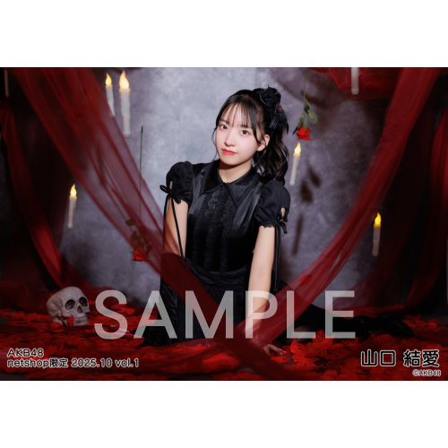 予約商品】AKB48 2025年10月度 net shop限定個別生写真5枚セットvol.1