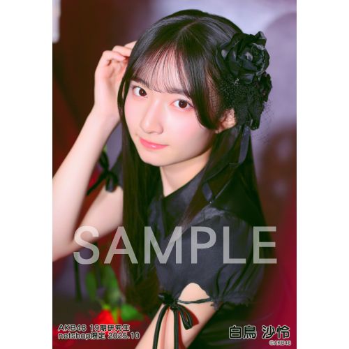 【非売品必見】AKB48のグッズをご提供します。 その他 | AKB48 Official Shop