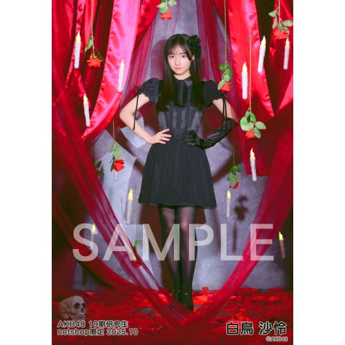 予約商品】AKB48 19期研究生 2025年10月度 net shop限定個別生