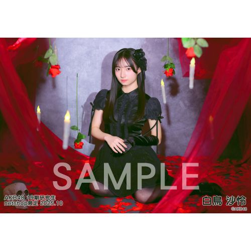 AKB の生写真まとめ売り AKB48 2025年8月度 net shop限定個別生写真5枚セットvol.1