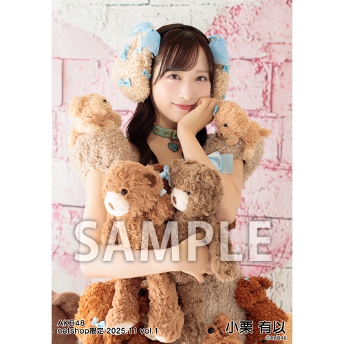 予約商品】AKB48 2025年11月度 net shop限定個別生写真5枚セットvol.1