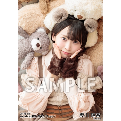 AKB48 2025年11月度 net shop限定個別生写真5枚セットvol.1