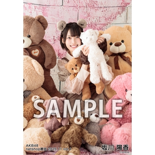予約商品】AKB48 2025年11月度 net shop限定個別生写真5枚セットvol.1