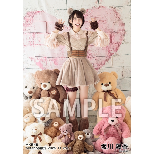 未開封 AKB48 坂川陽香 生写真5枚セット×51セット 未開封 AKB48 坂川陽香 生写真5枚セット×51セット アイドル