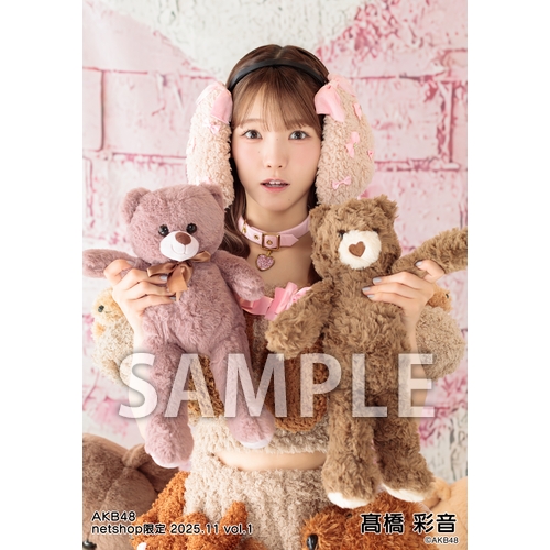 予約商品】AKB48 2025年11月度 net shop限定個別生写真5枚セットvol.1