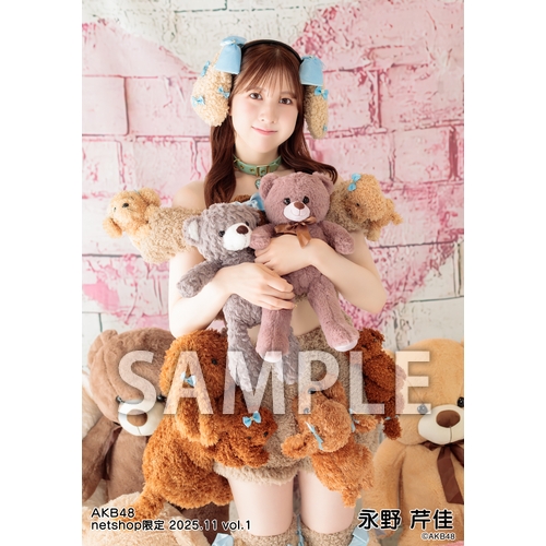 予約商品】AKB48 2025年11月度 net shop限定個別生写真5枚セットvol.1