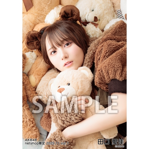 AKB48 2025年11月度 net shop限定個別生写真5枚セットvol.1