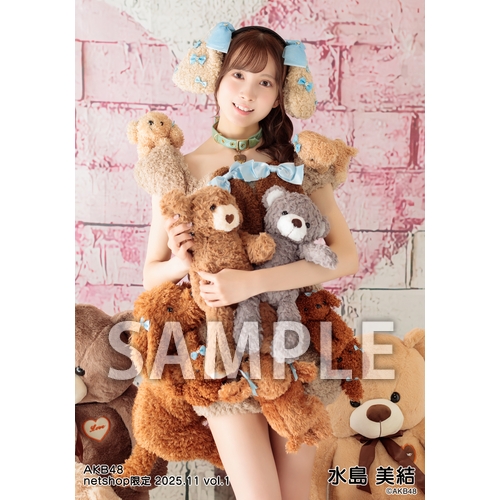 予約商品】AKB48 2025年11月度 net shop限定個別生写真5枚セット