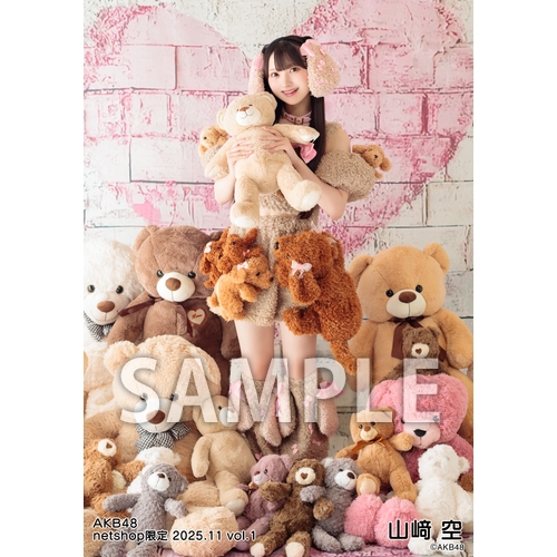 予約商品】AKB48 2025年11月度 net shop限定個別生写真5枚セットvol.1