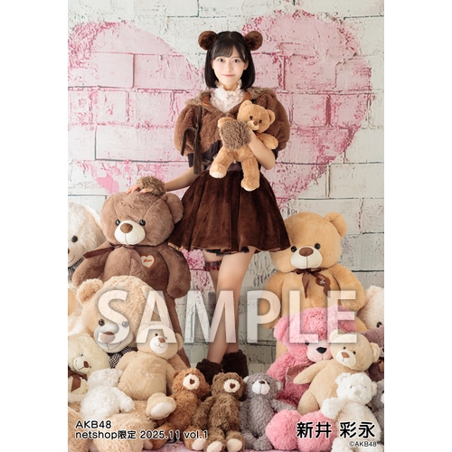 予約商品】AKB48 2025年11月度 net shop限定個別生写真5枚セットvol.1