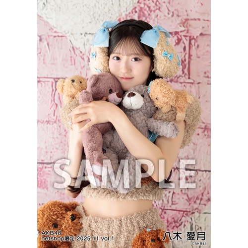 予約商品】AKB48 2025年11月度 net shop限定個別生写真5枚セットvol.1