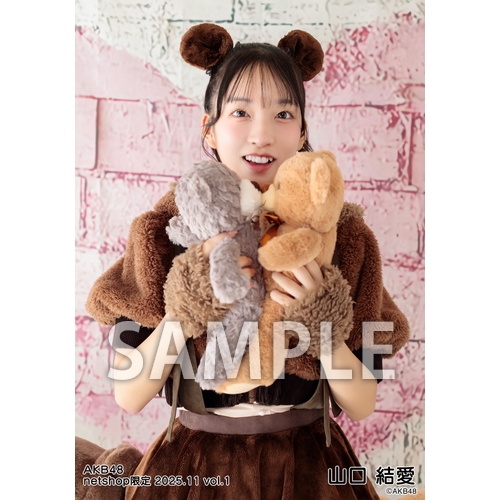 予約商品】AKB48 2025年11月度 net shop限定個別生写真5枚セットvol.1