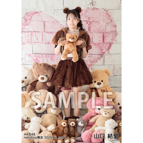 予約商品】AKB48 2025年11月度 net shop限定個別生写真5枚セットvol.1