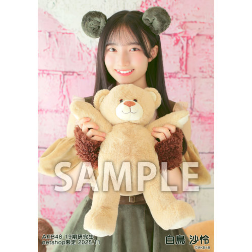 S出品　AKBグッズ AK-023-2504-87608_p04_500.jpg