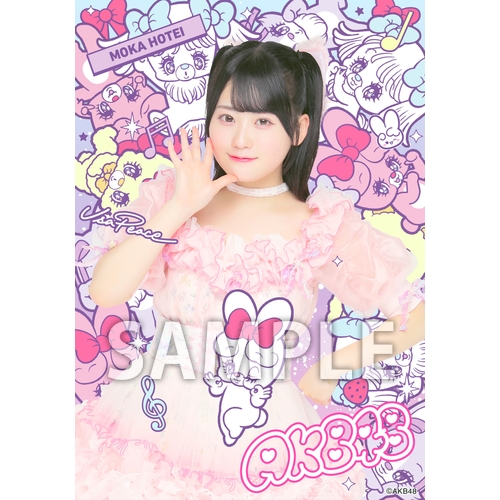 AKB48×アーティストコラボ生写真 isayamax 個別生写真6枚セット 布袋百