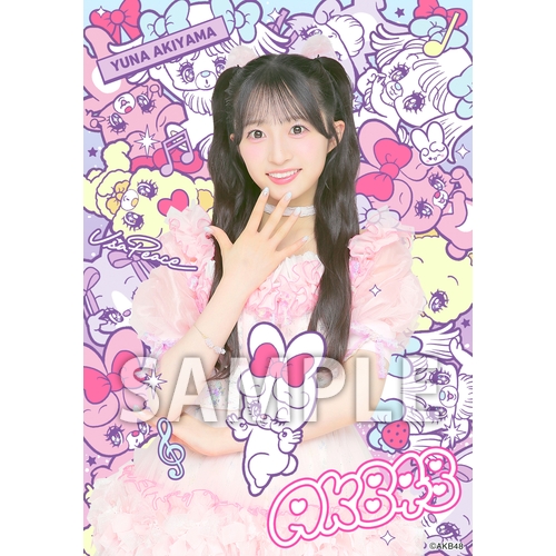 AKB48×アーティストコラボ生写真 isayamax 個別生写真6枚セット 秋山
