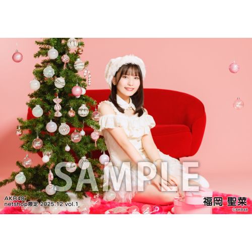 予約商品】AKB48 2025年12月度 net shop限定個別生写真5枚セットvol.1
