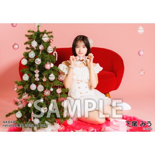 予約商品】AKB48 2025年12月度 net shop限定個別生写真5枚セットvol.1
