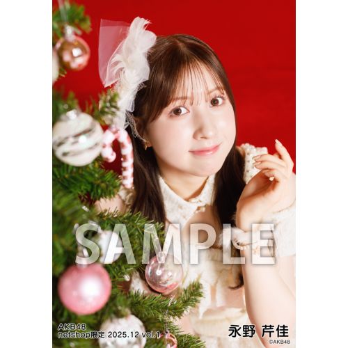 予約商品】AKB48 2025年12月度 net shop限定個別生写真5枚セットvol.1