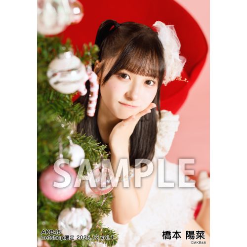 予約商品】AKB48 2025年12月度 net shop限定個別生写真5枚セットvol.1