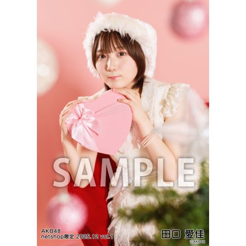 専用出品です。す様ご注文分　田口愛佳他 予約商品】AKB48 2025年12月度 net shop限定個別生写真5枚セットvol.1