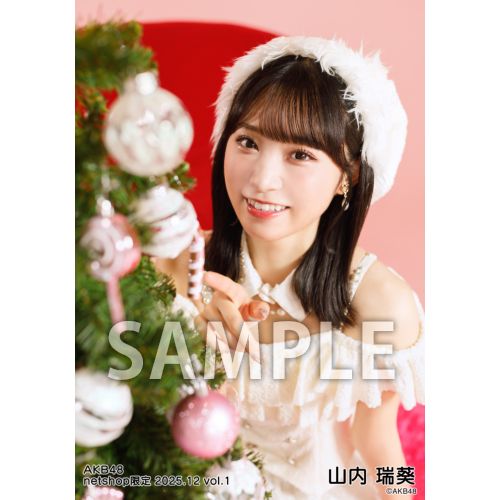 予約商品】AKB48 2025年12月度 net shop限定個別生写真5枚セットvol.1