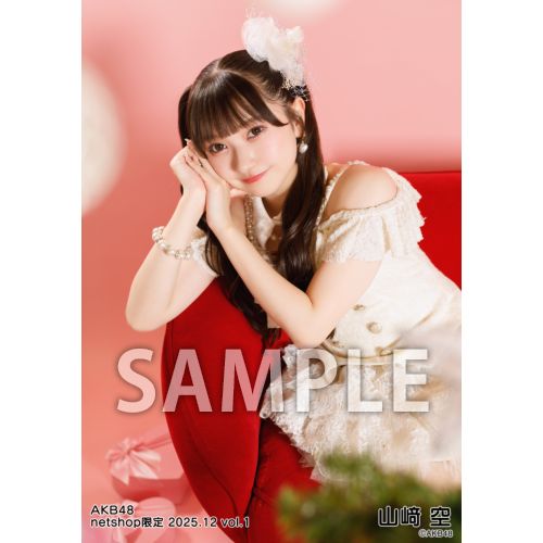 予約商品】AKB48 2025年12月度 net shop限定個別生写真5枚セットvol.1