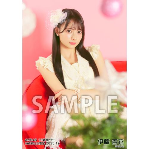予約商品】AKB48 19期研究生 2025年12月度 net shop限定個別生写真5枚