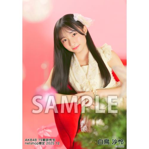 AKB48コラボ商品 予約商品】AKB48 19期研究生 2025年12月度 net shop限定個別生写真5枚